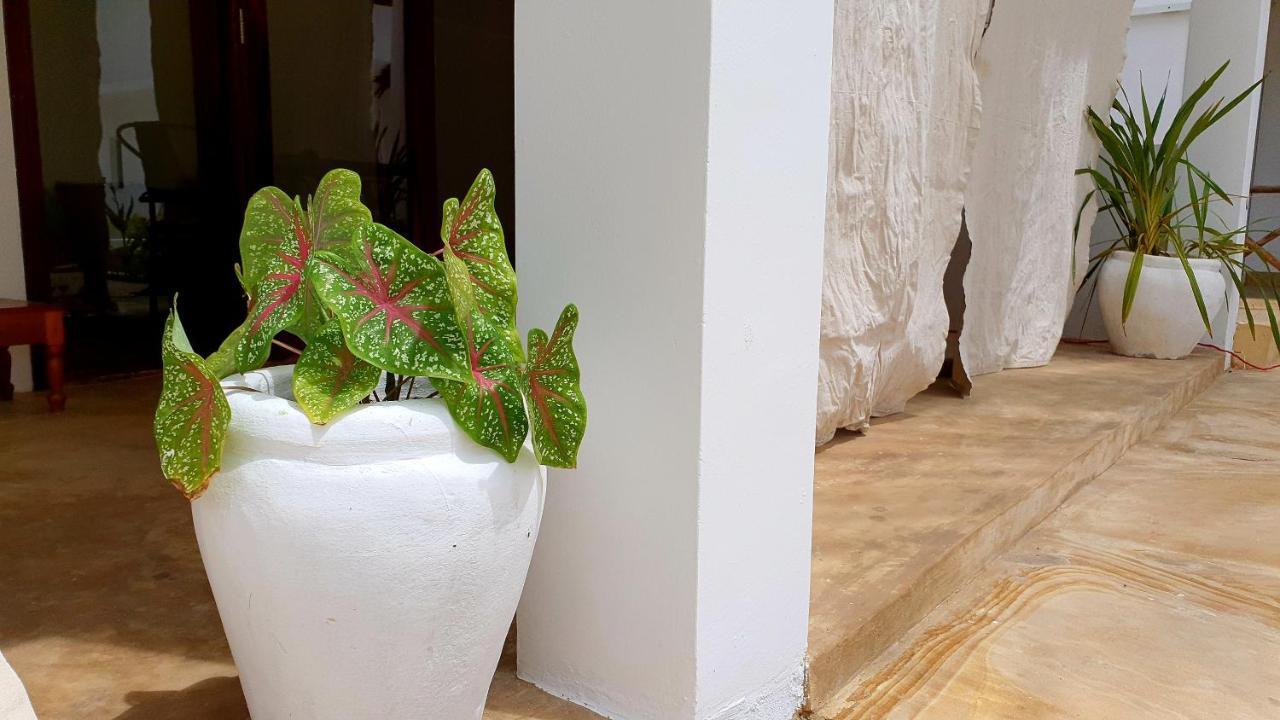 Moyo Apartment Пвани Мчангани Екстериор снимка